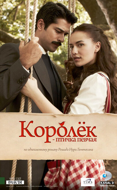 Королёк — птичка певчая poster