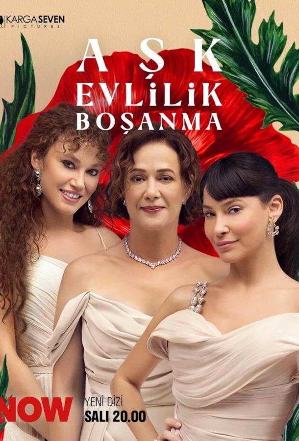 Любовь, брак, развод poster