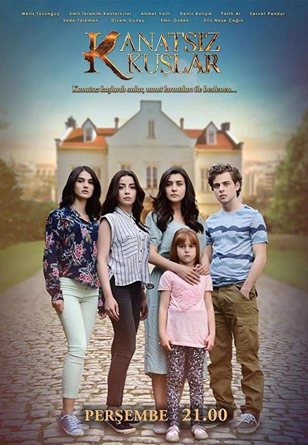 Птицы без крыльев poster
