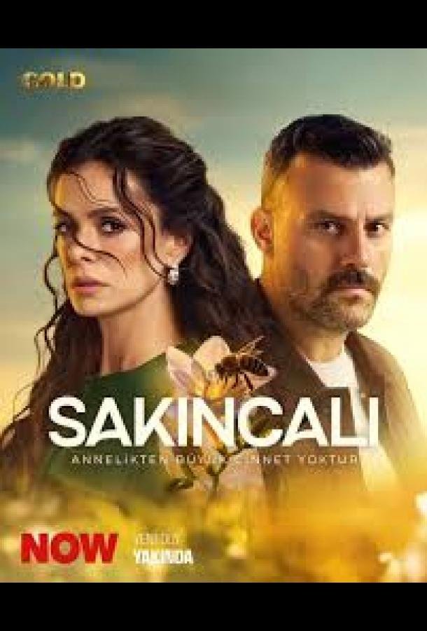 Опасная / Подозрительный poster