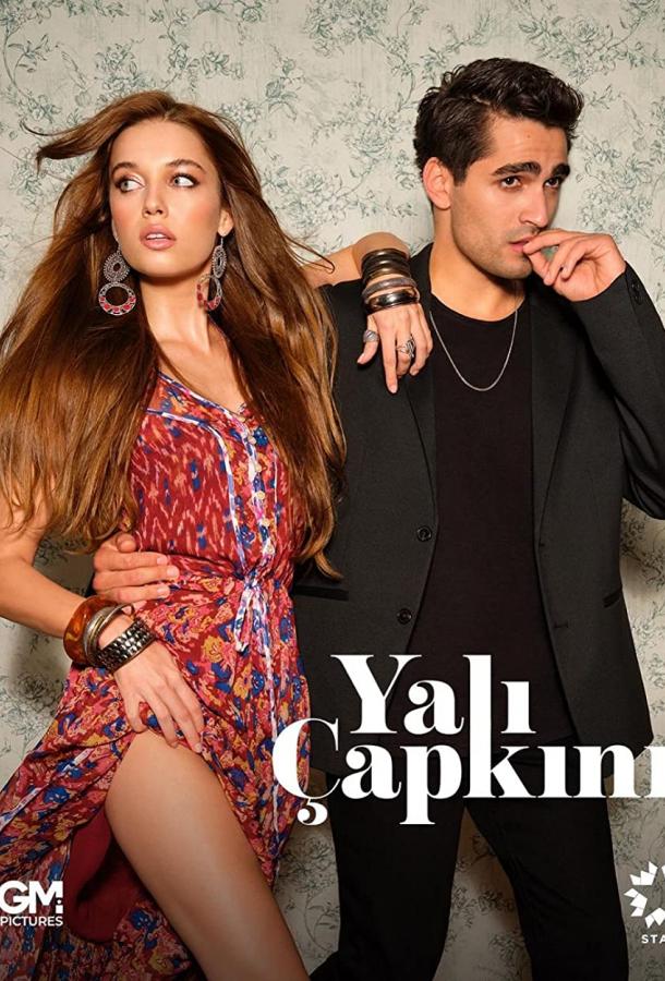 Зимородок poster