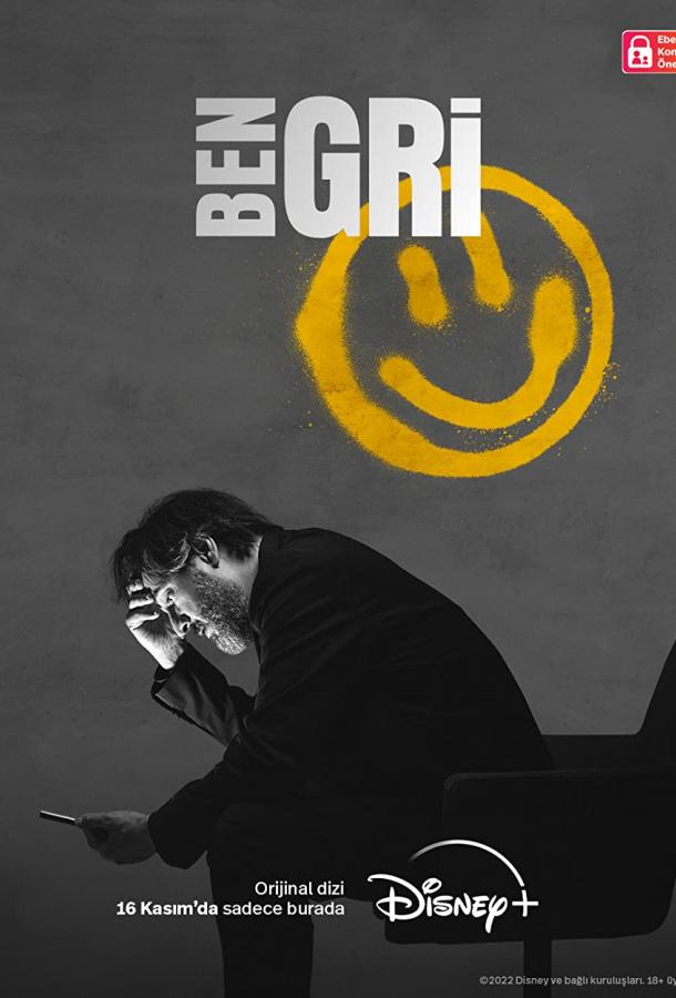 Я серый poster